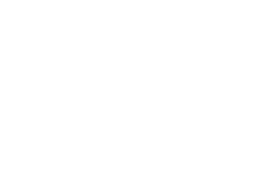 Section Zero