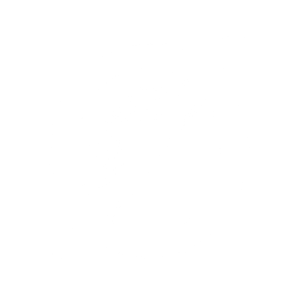 Section Zero